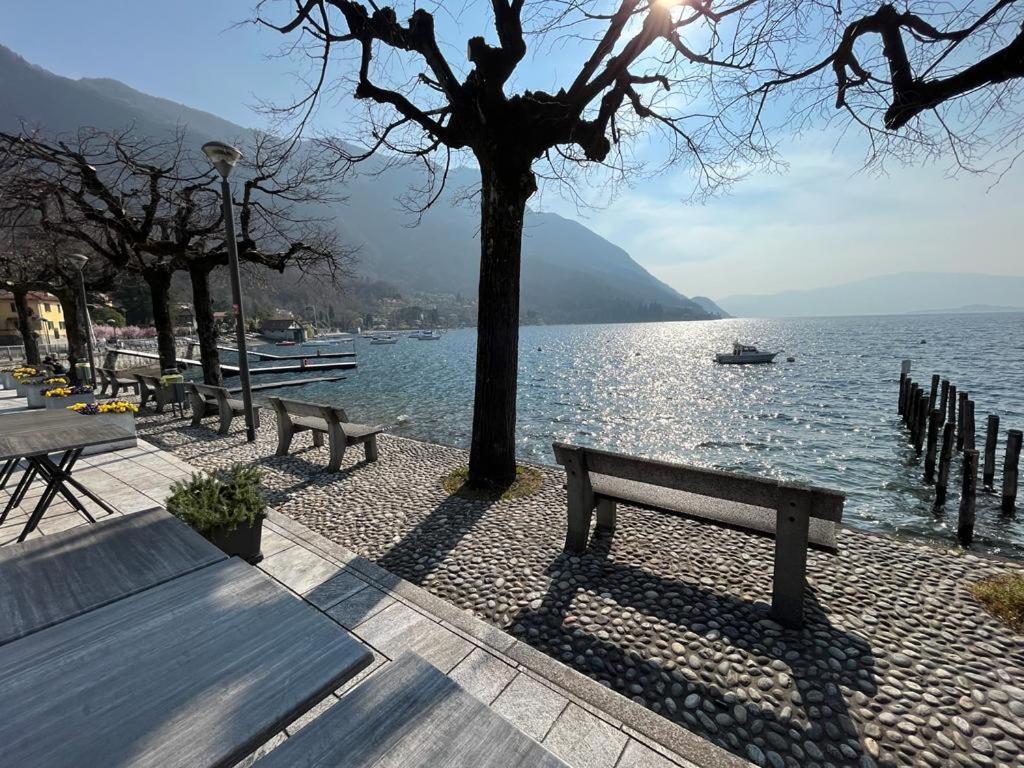 Il Sole Di Calde Lago Maggiore 504 Castelveccana エクステリア 写真