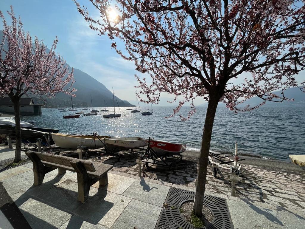 Il Sole Di Calde Lago Maggiore 504 Castelveccana エクステリア 写真