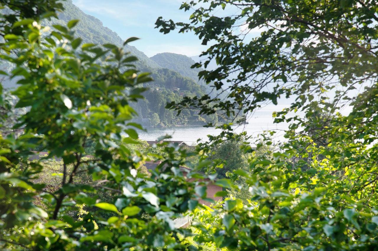 Il Sole Di Calde Lago Maggiore 504 Castelveccana エクステリア 写真